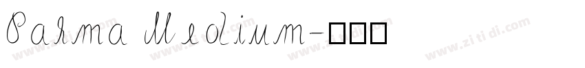 Palma Medium字体转换